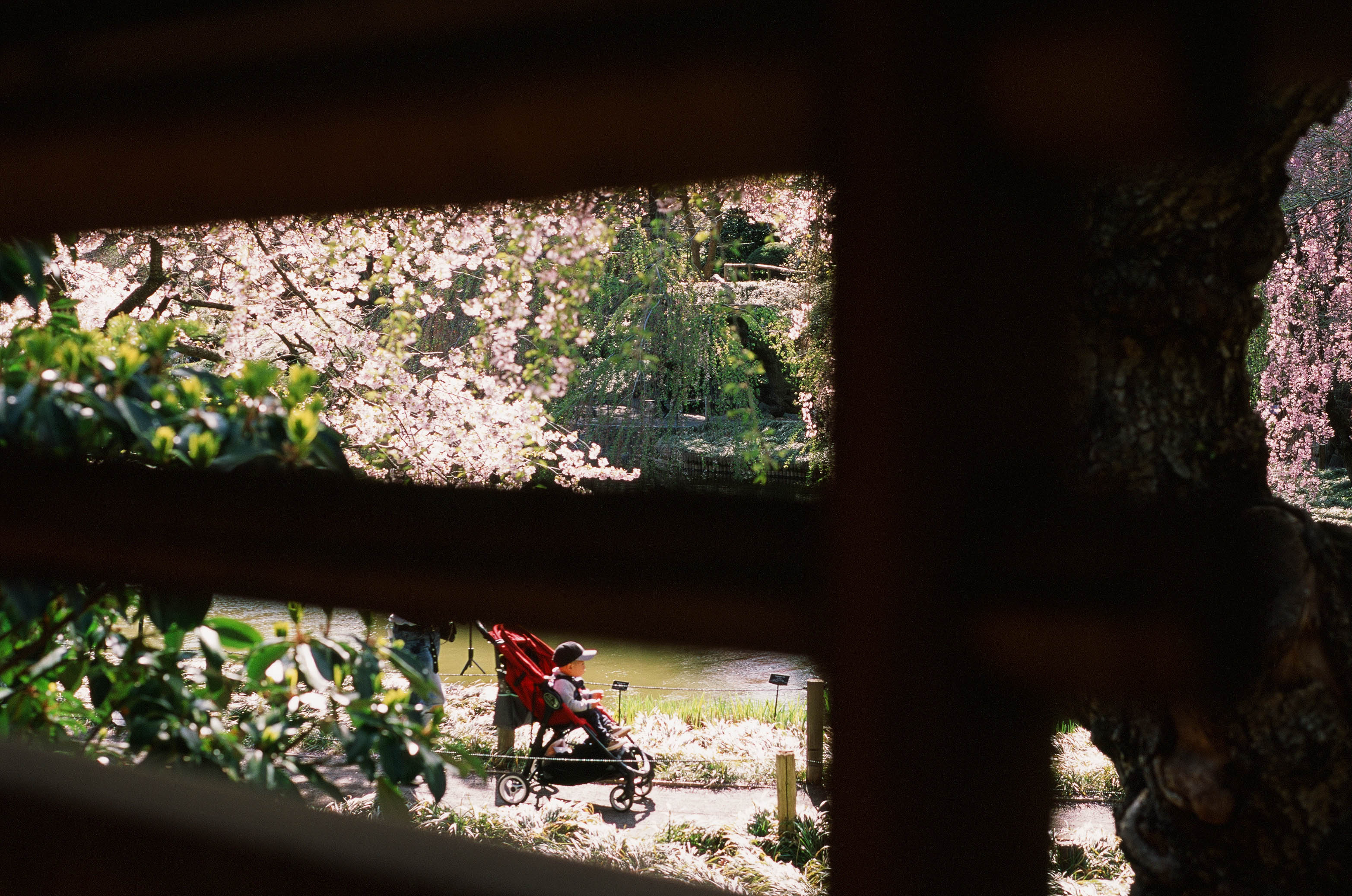 C9a9179eca111f268e825ebde2b20fe0